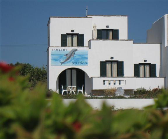 Dolphin Studios Agia Anna  Exterior photo